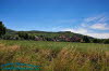 Thalwenden