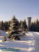 Winterwald bei der Rennsteigwarte Masserberg