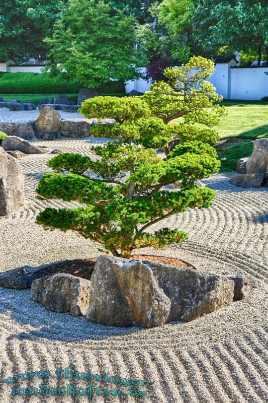 Japanischer Garten