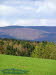 Adlersberg (Blick vom Haard aus)