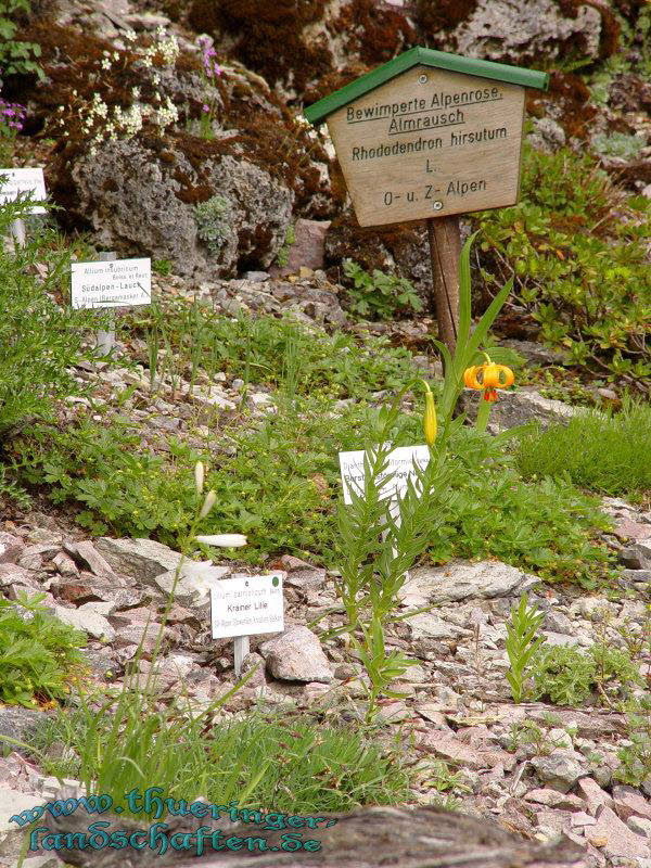 Rennsteiggarten Oberhof