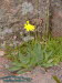 Rennsteiggarten Oberhof