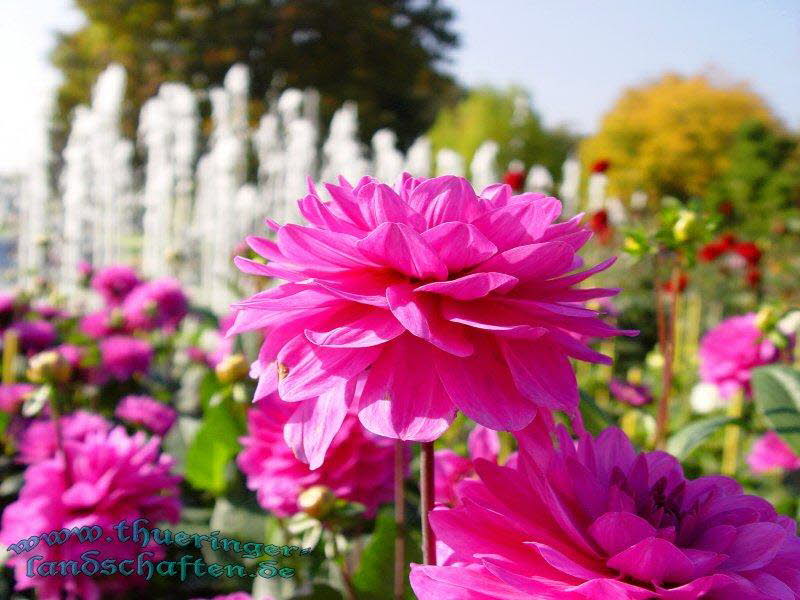 Die Flora auf dem egapark