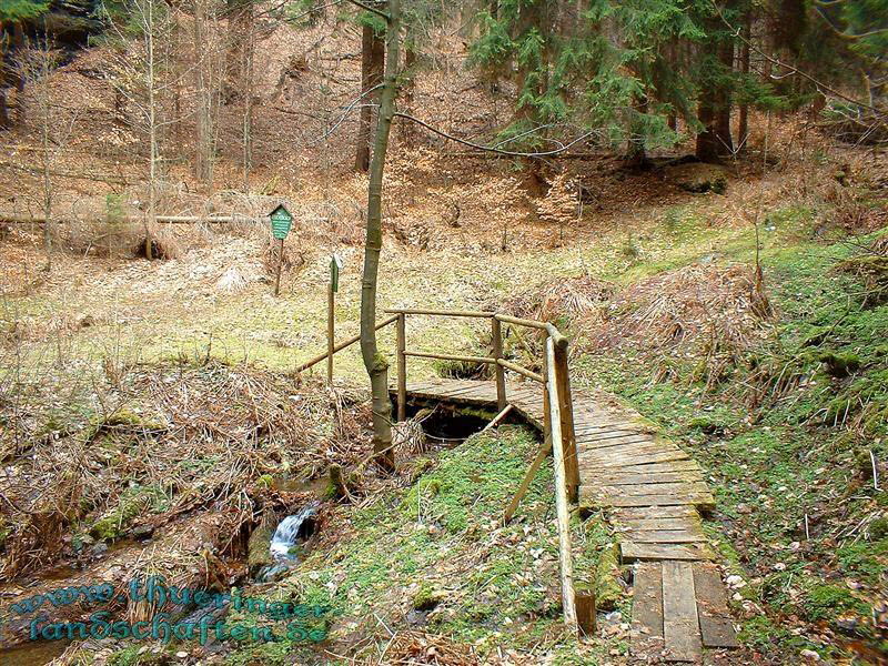 Die Giebler Schweiz - Das Neuntal