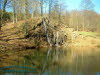 Luisentaler Wasserfall am Altensteiner Park