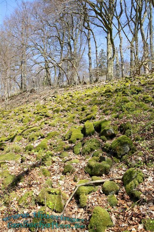 Wanderung auf den Kleinen Gleichberg & Das Steinsburgmuseum