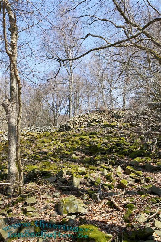 Wanderung auf den Kleinen Gleichberg & Das Steinsburgmuseum