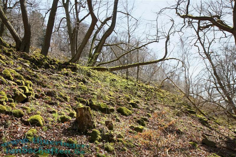 Wanderung auf den Kleinen Gleichberg & Das Steinsburgmuseum