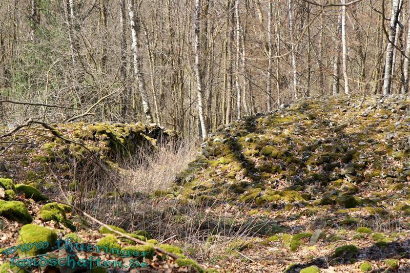 Wanderung auf den Kleinen Gleichberg & Das Steinsburgmuseum