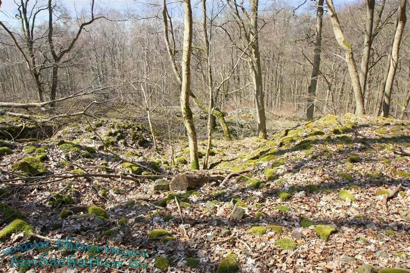 Wanderung auf den Kleinen Gleichberg & Das Steinsburgmuseum