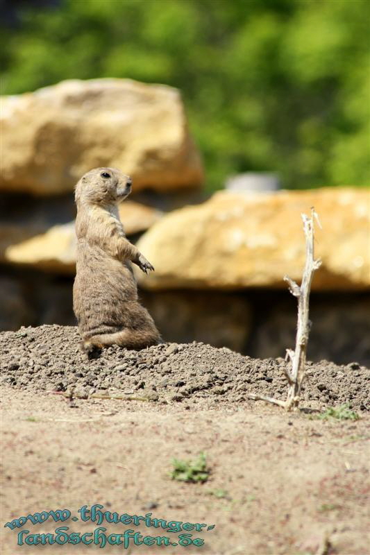 Zoopark Erfurt