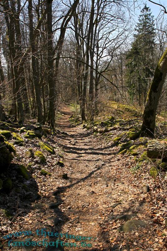 Wanderung auf den Kleinen Gleichberg & Das Steinsburgmuseum