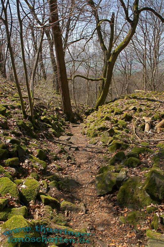 Wanderung auf den Kleinen Gleichberg & Das Steinsburgmuseum