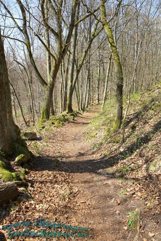 Wanderung auf den Kleinen Gleichberg & Das Steinsburgmuseum