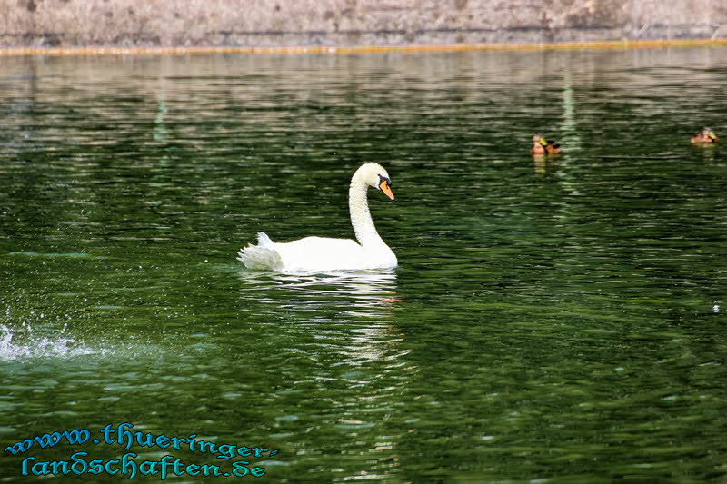 Elisabethpark und See Bad Liebenstein