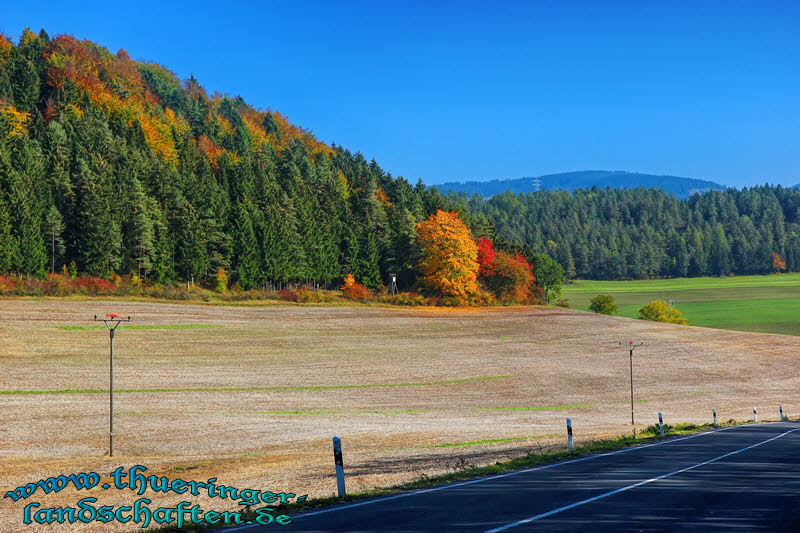 Strasse bei Bachfeld