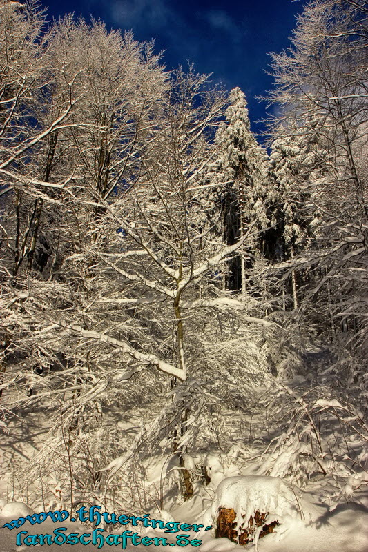 Winterlandschaft bei Grobreitenbach