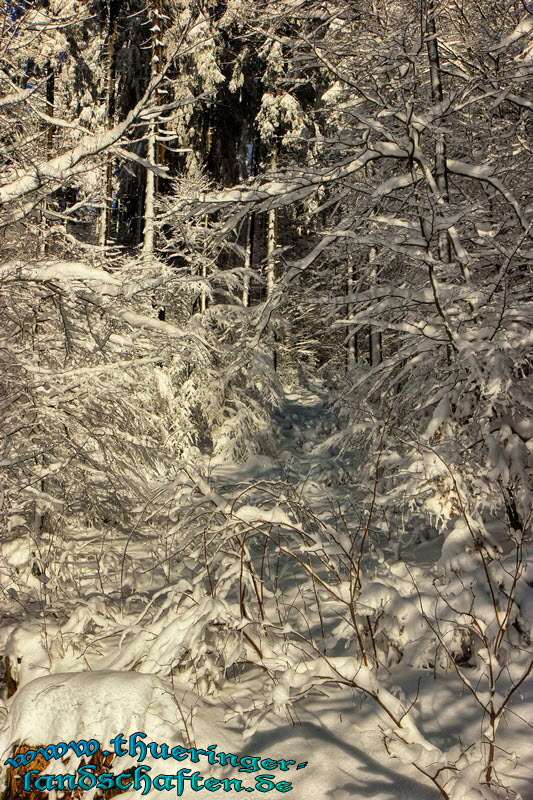 Winterlandschaft bei Grobreitenbach